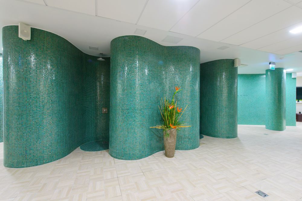 Harvia Spa-Element Spa-Module Douche | SMSS21